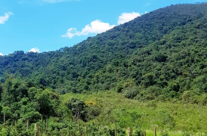 Fazenda para venda em Carvalhos MG