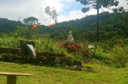 Fazenda para venda em Carvalhos MG