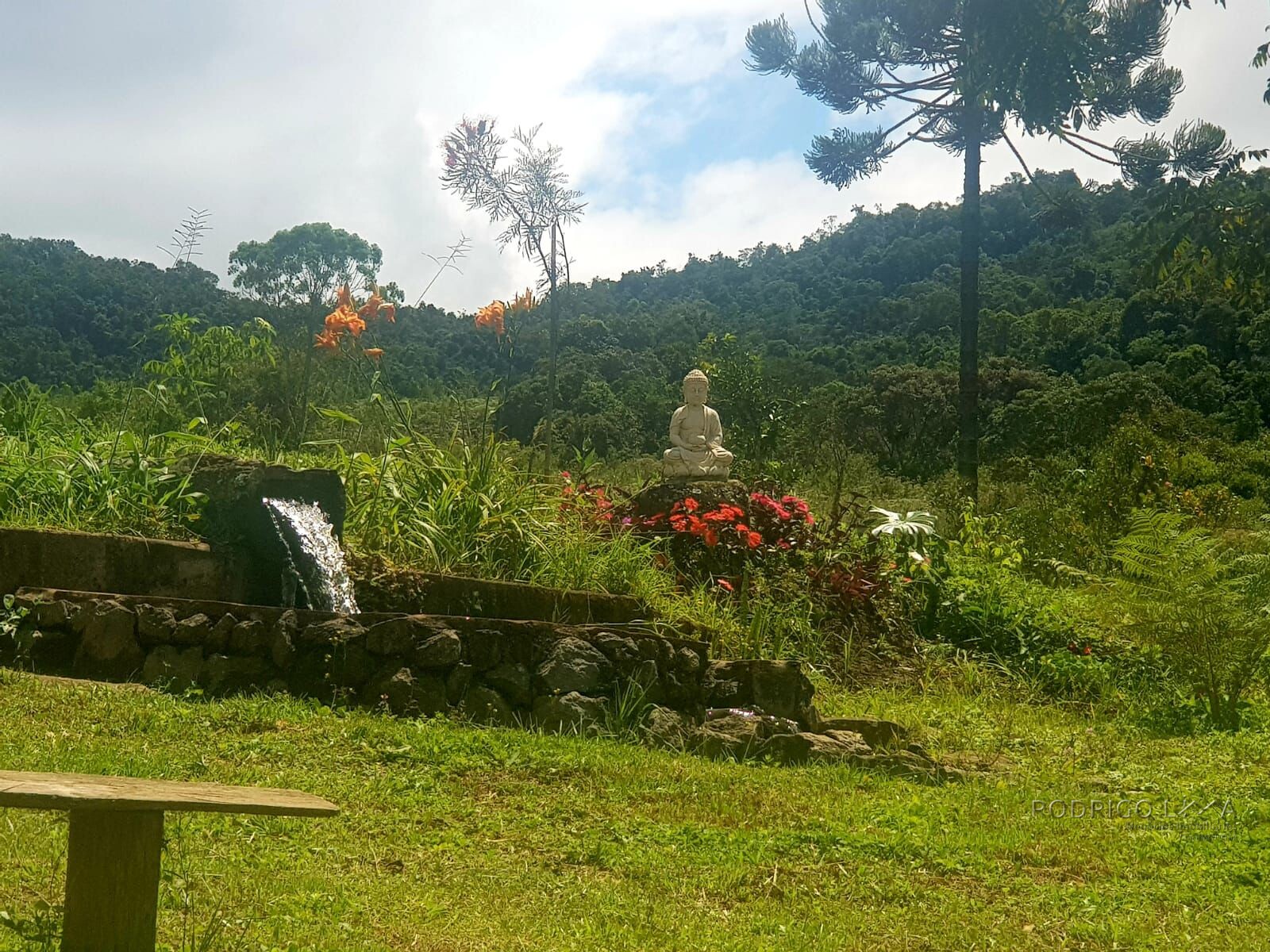 Fazenda para venda em Carvalhos MG