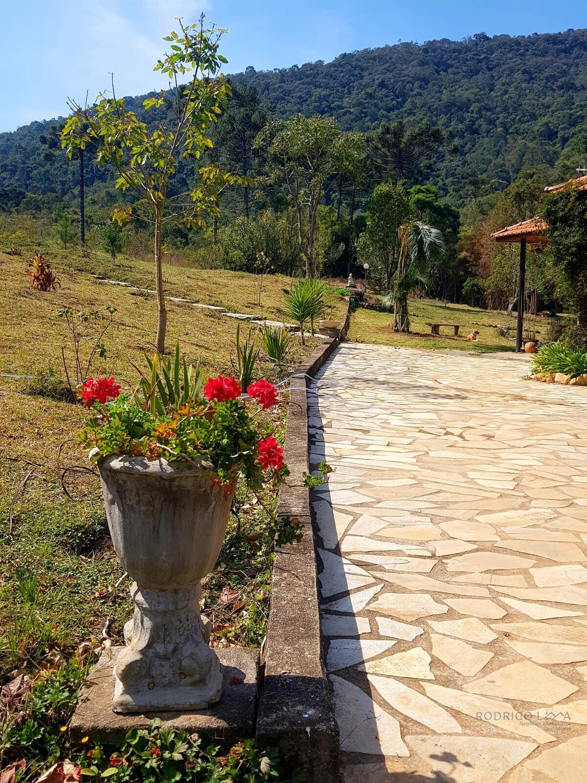 Fazenda para venda em Carvalhos MG