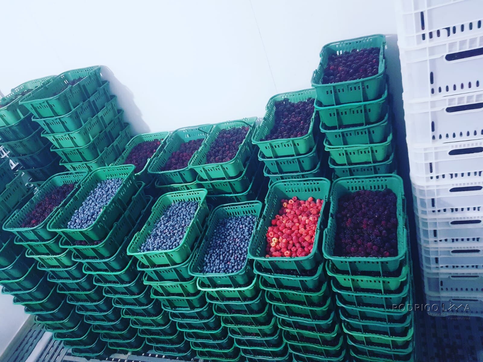 Fazenda para venda em Carvalhos MG