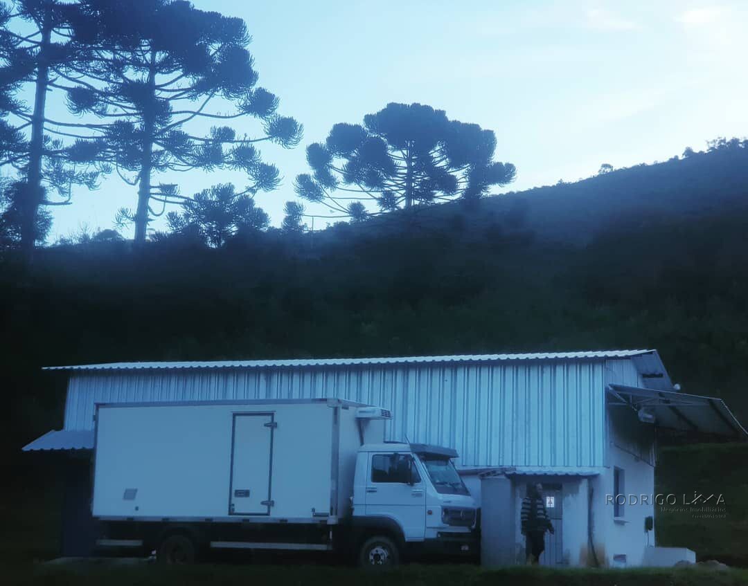 Fazenda para venda em Carvalhos MG