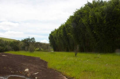 Fazenda para venda em Caldas MG