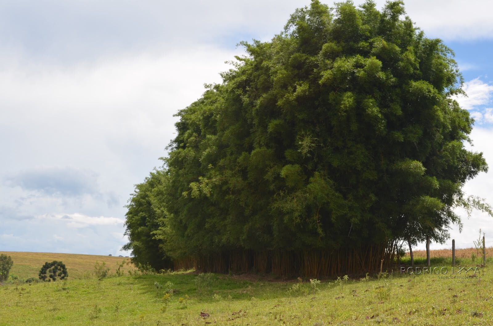 Fazenda para venda em Caldas MG