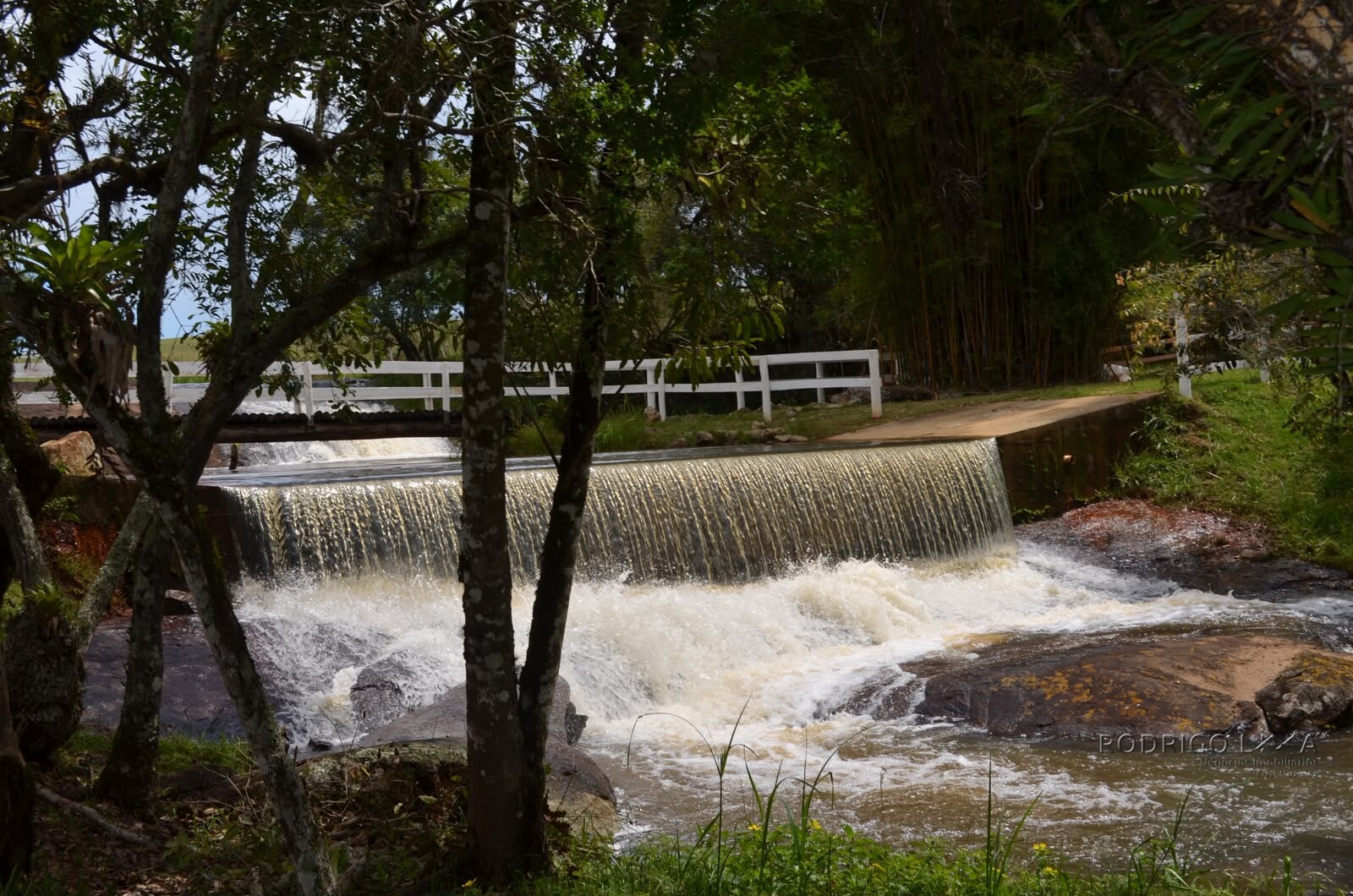 Fazenda para venda em Caldas MG