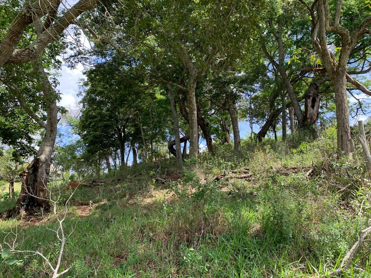 Excelente área rural para venda entre São Lourenço e Soledade MG