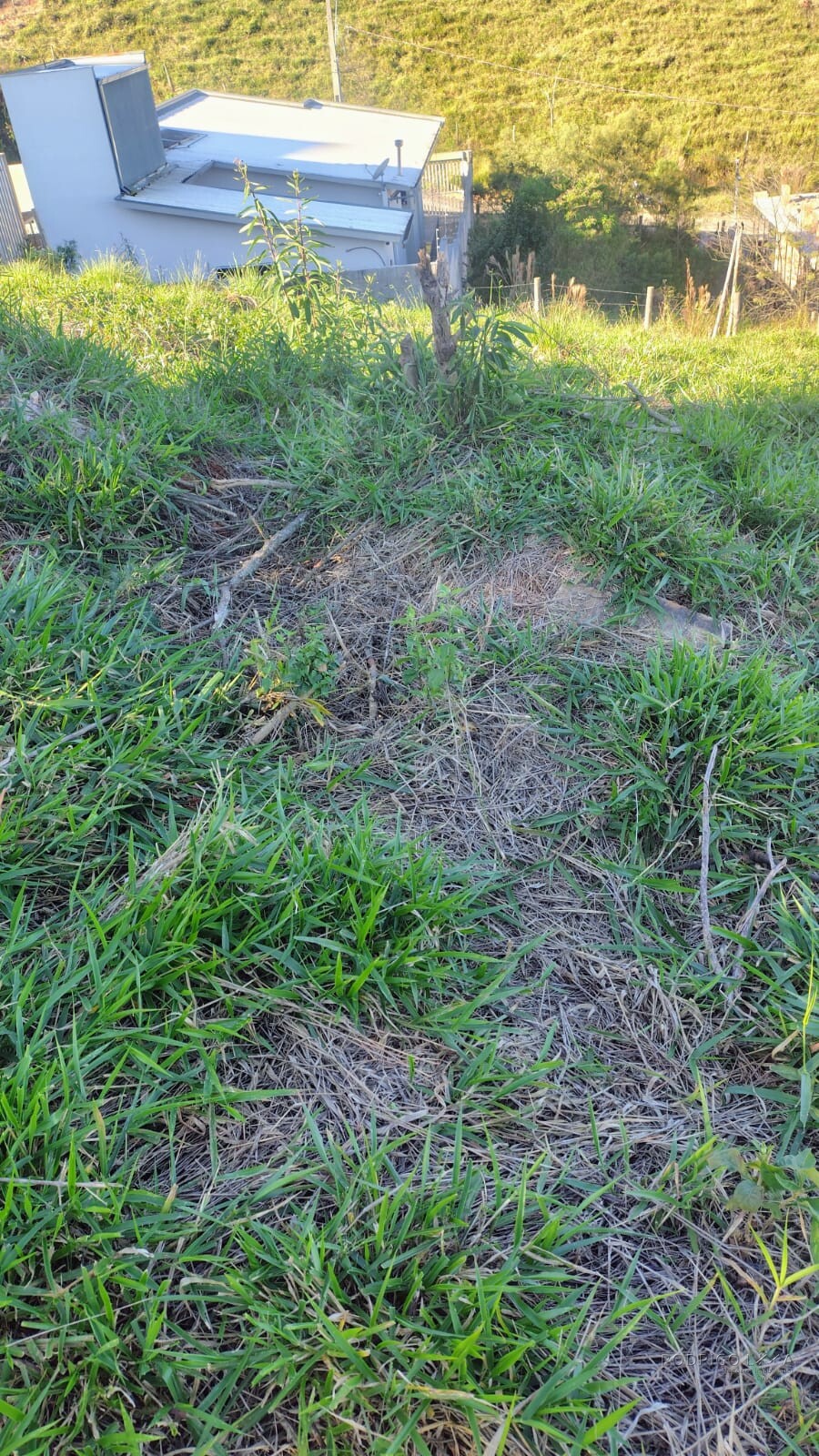 Lote para venda em São Lourenço