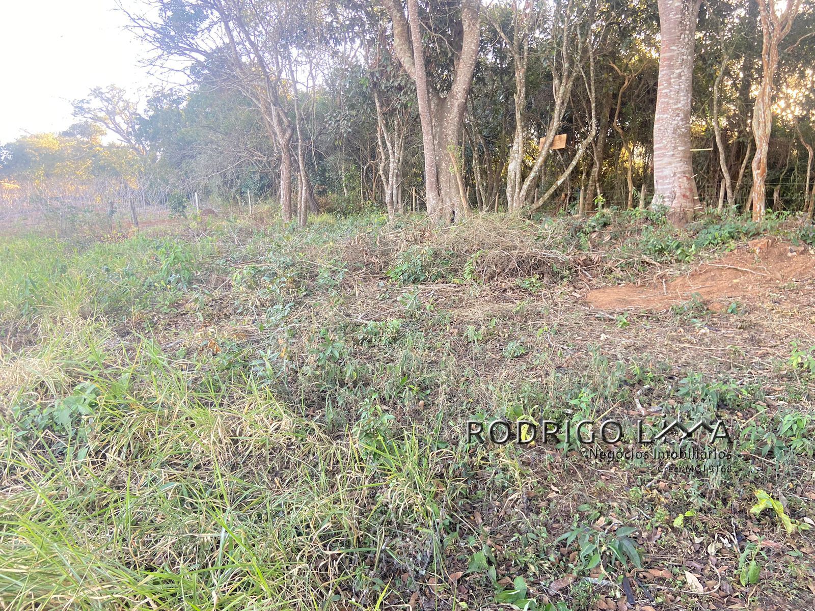 Área rural para venda há menos de 10 minutos de São Lourenço.