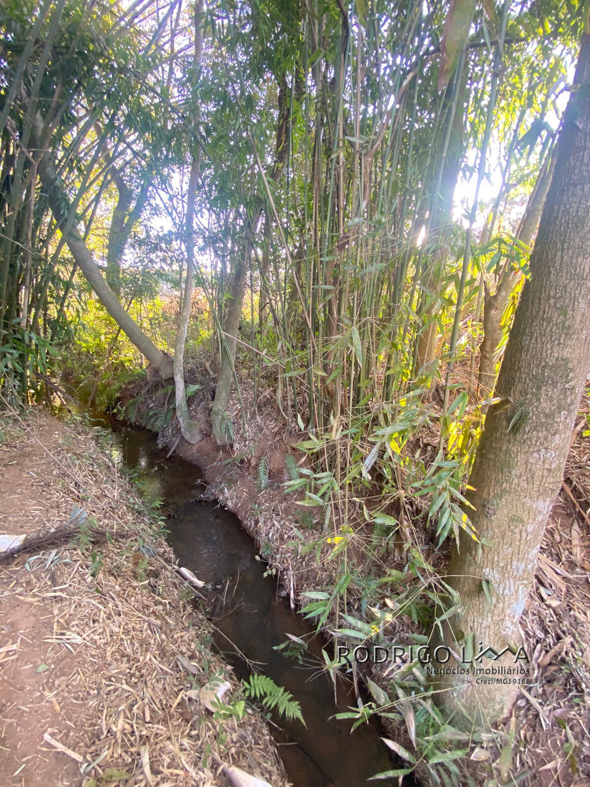 Área rural para venda há menos de 10 minutos de São Lourenço.