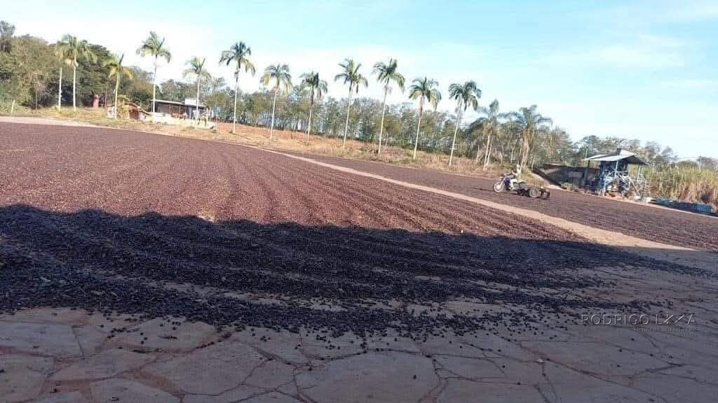 Linda fazenda para venda em Luminárias Mg